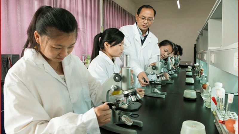 基层医疗药品代理市场：潜力与挑战并存