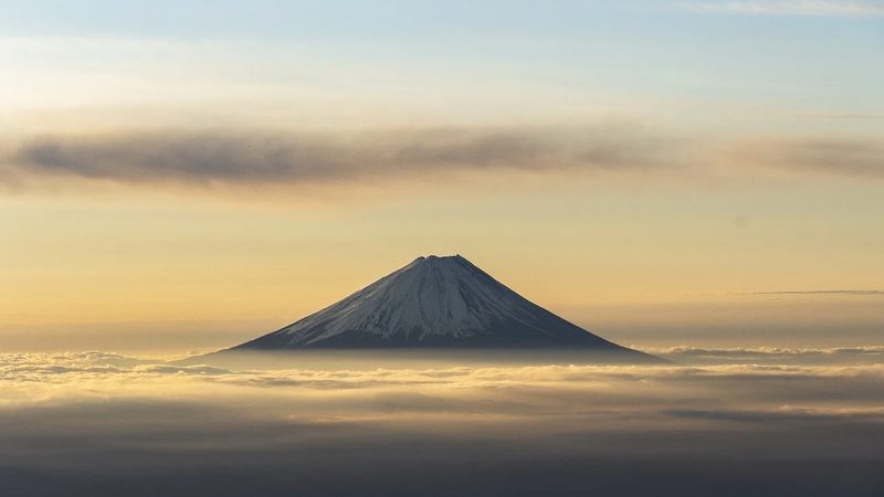 植物提取设备选型：如何规避误区，确保高效生产**